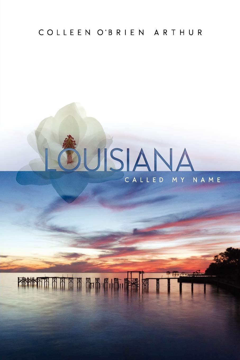 Louisiana Called My Name,Used