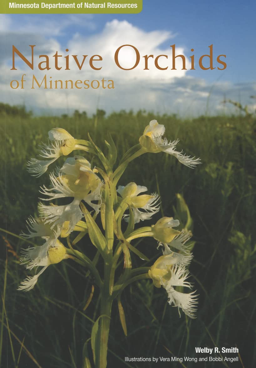 Native Orchids of Minnesota,New