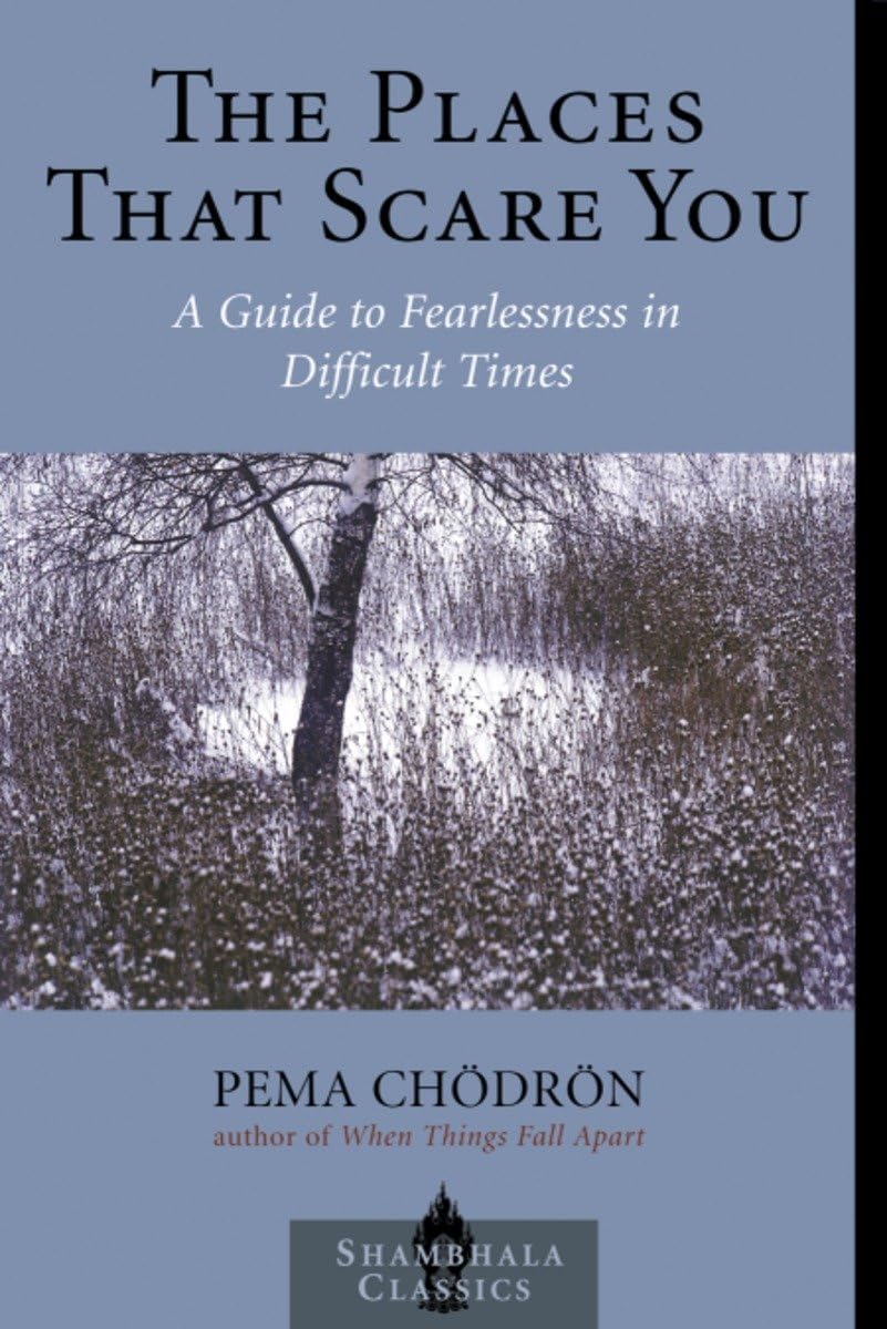 The Places That Scare You: A Guide To Fearlessness In Difficult Times (Shambhala Classics),Used