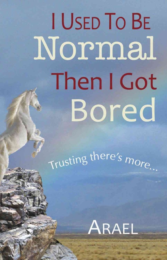 I Used To Be Normal Then I Got Bored: Trusting Theres More-new,New