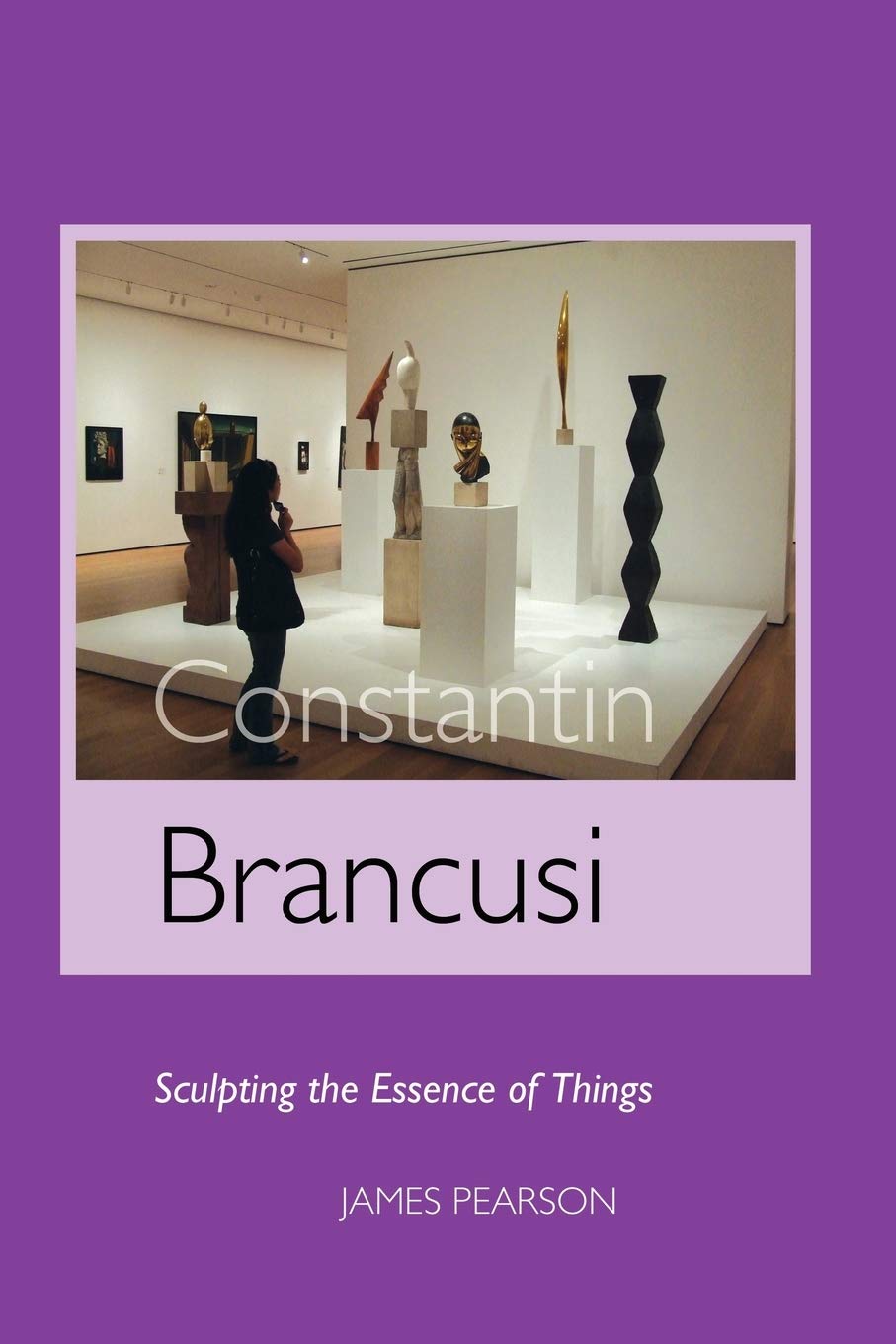 Constantin Brancusi: Sculpting The Essence Of Things (Sculptors),Used