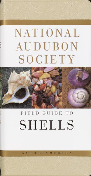 National Audubon Society Field Guide To North American Seashells,New
