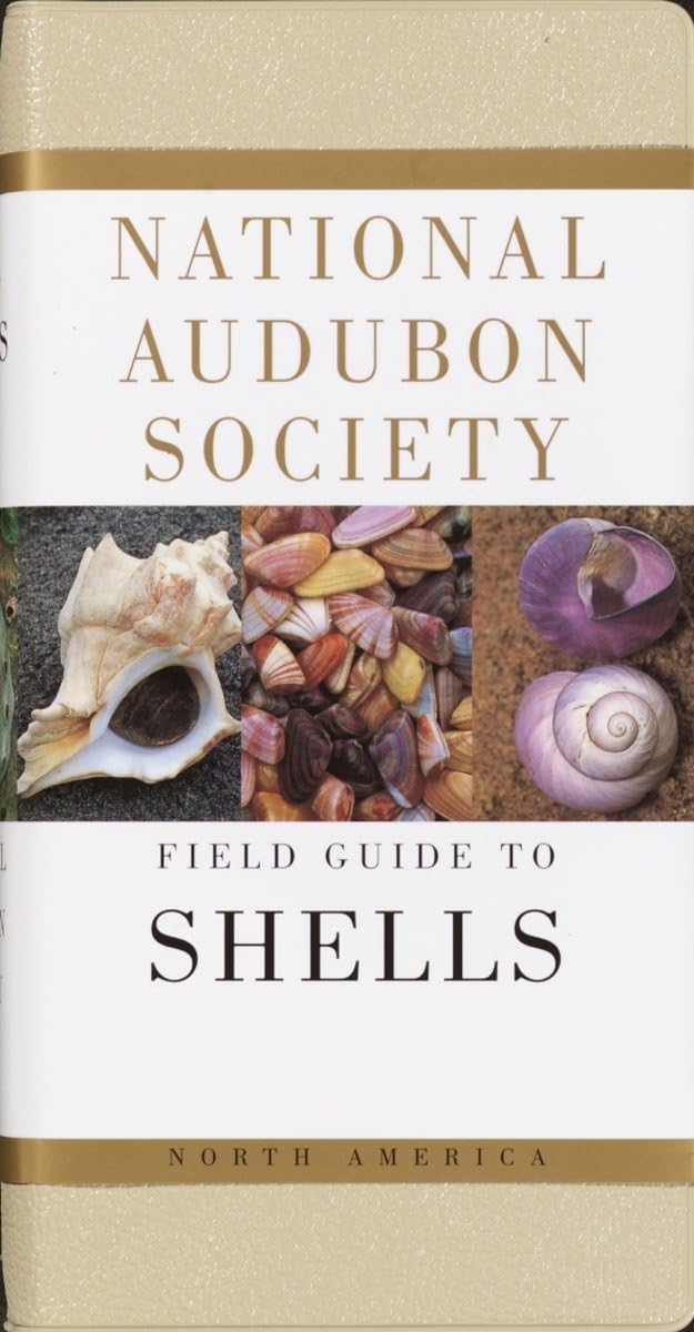 National Audubon Society Field Guide To North American Seashells,New