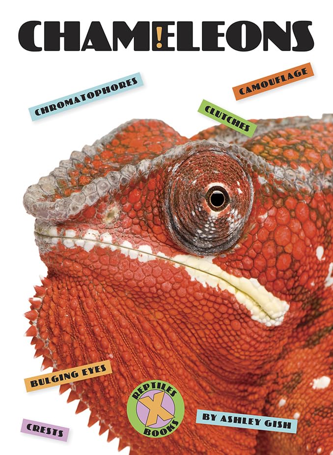 Chameleons,Used