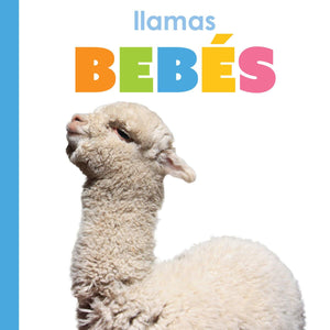 Llamas Bebs (Spanish Edition)