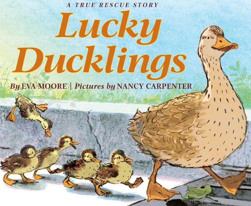 Lucky Ducklings,New