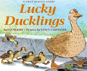 Lucky Ducklings,Used