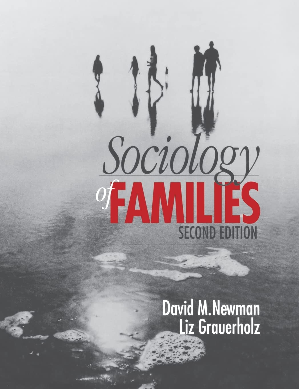 Sociology of Families Second Edition,Used