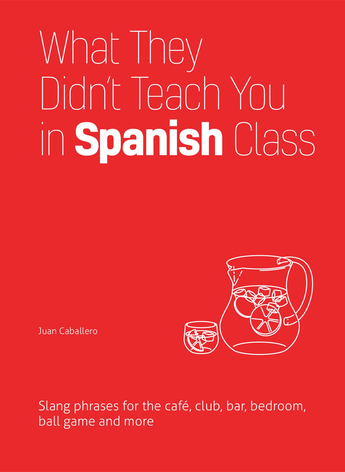 What They Didn't Teach You in Spanish Class: Slang Phrases for the Cafe, Club, Bar, Bedroom, Ball Game and More (What They Didn',Used
