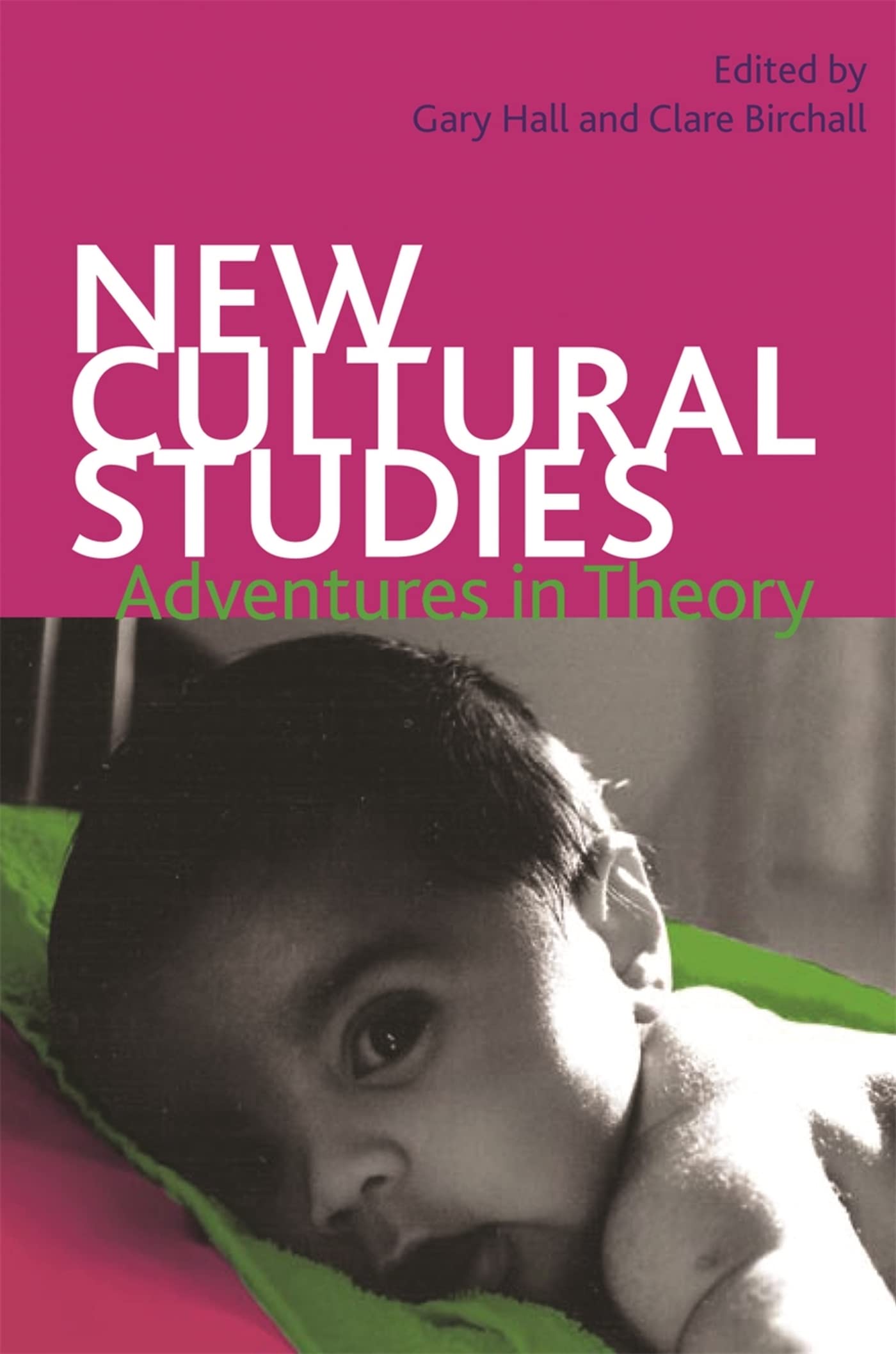 New Cultural Studies: Adventures In Theory,New