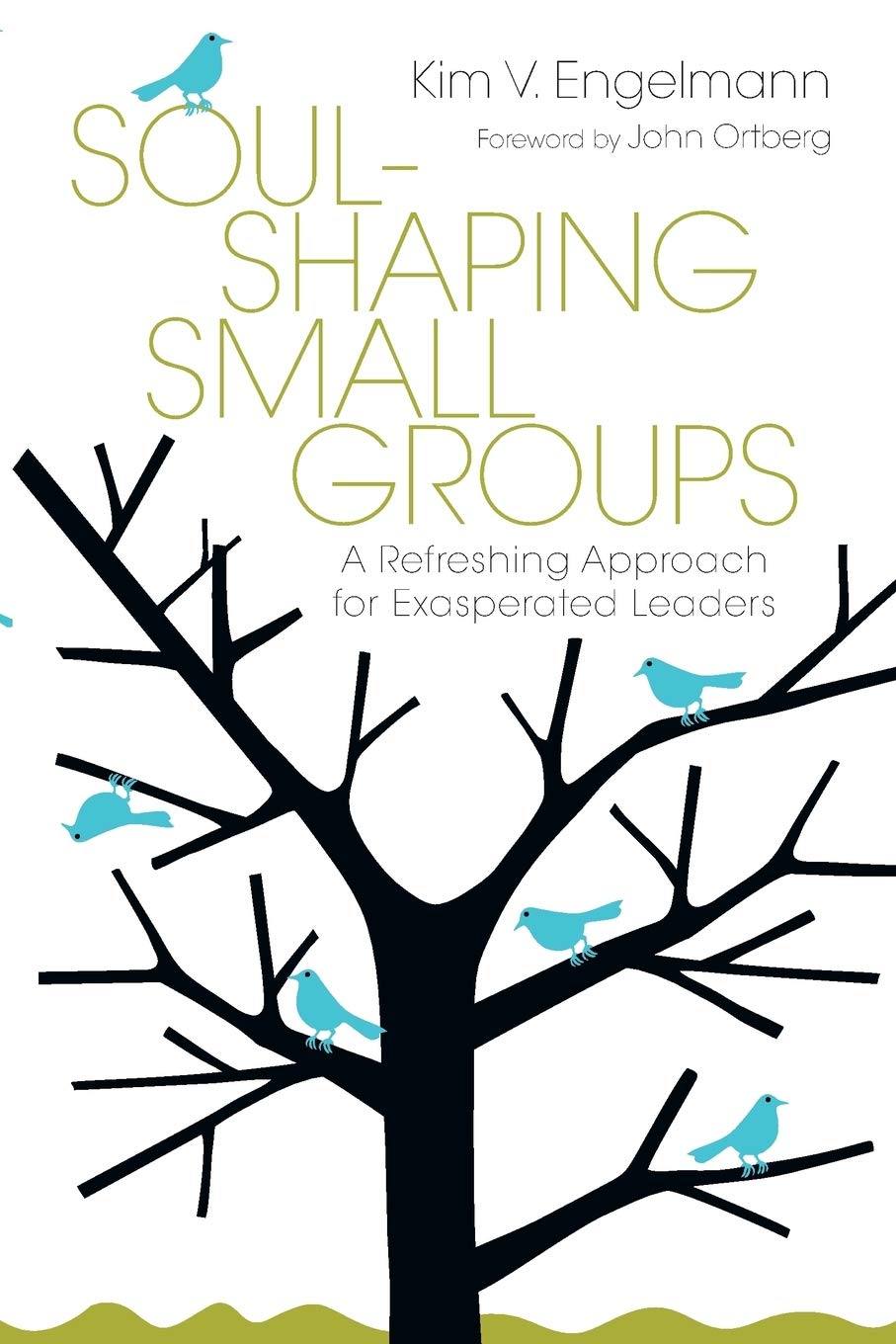 Soulshaping Small Groups: A Refreshing Approach For Exasperated Leaders,New