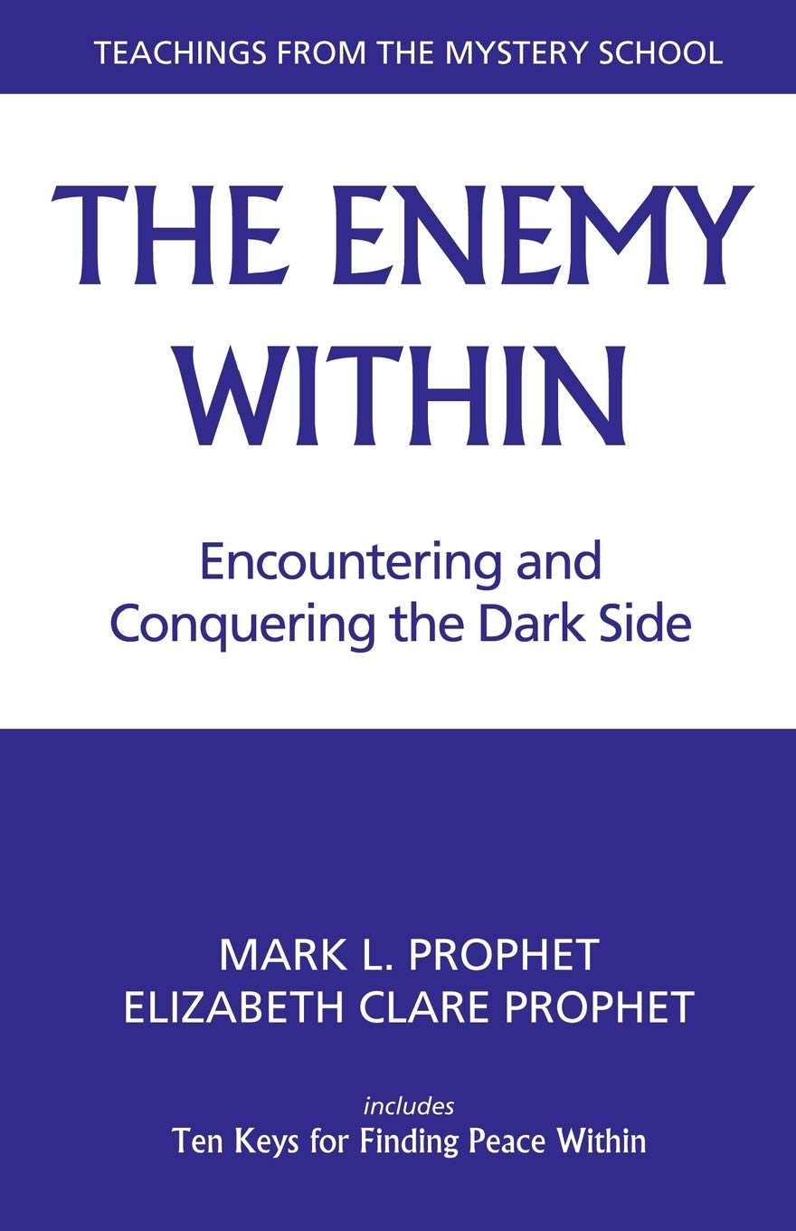 The Enemy Within: Encountering And Conquering The Dark Side,Used