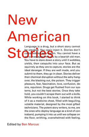 New American Stories (Vintage Contemporaries),Used