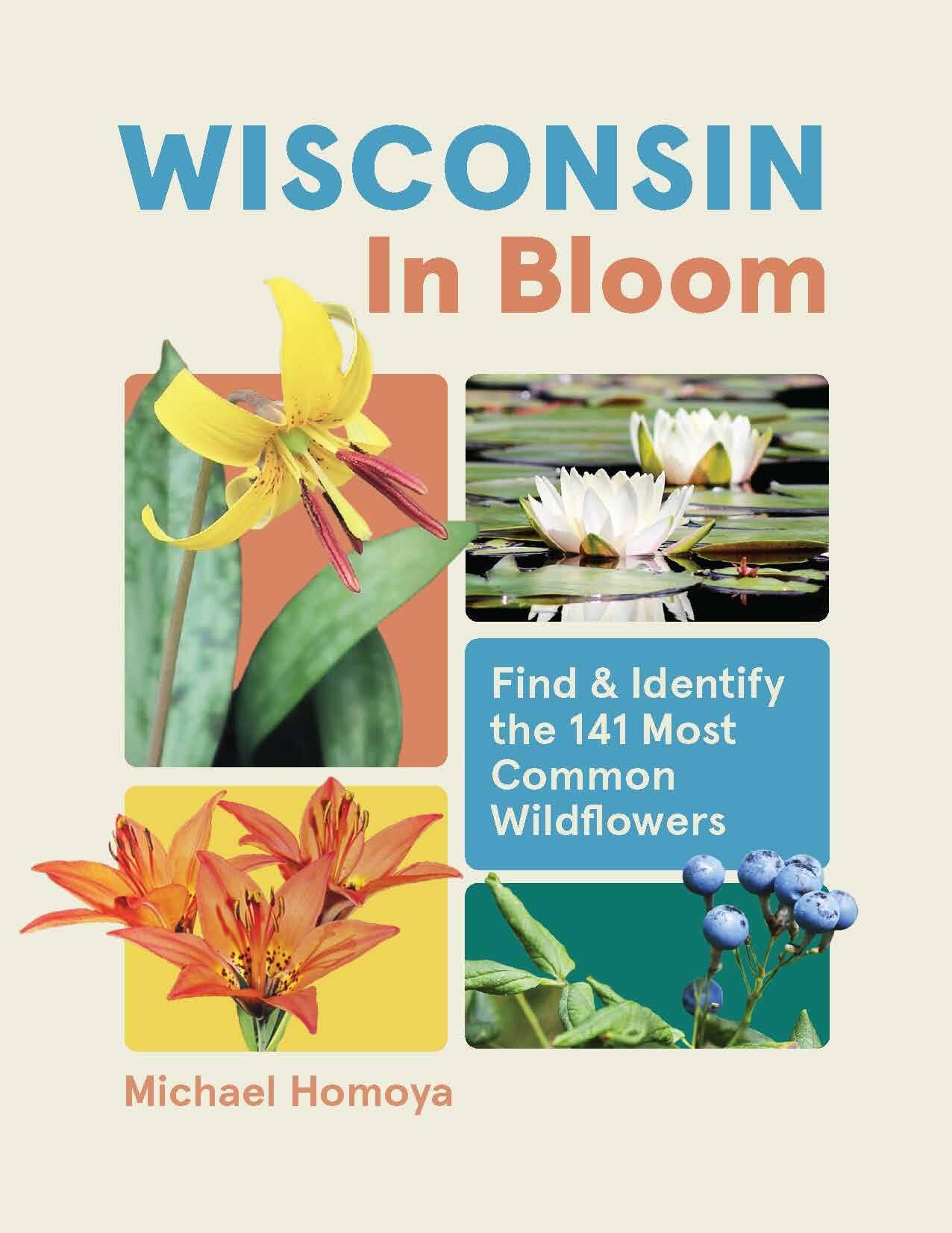 Wisconsin In Bloom: Find And Identify The 141 Most Common Wildflowers