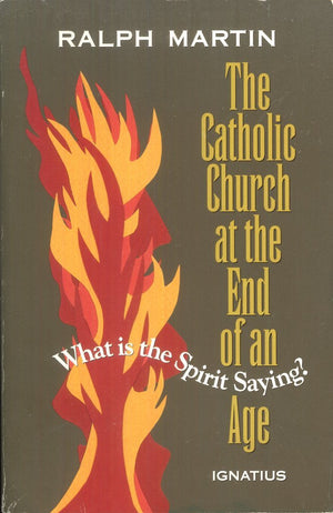 The Catholic Church at the End of an Age: What is the Spirit Saying?,Used