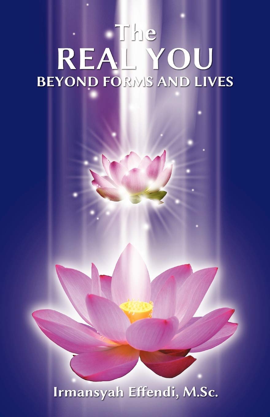 The Real You: Beyond Forms And Lives,Used