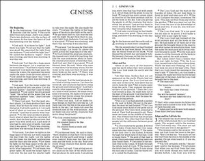 NIrV, Backpack Bible, Leathersoft, Red/White,Used