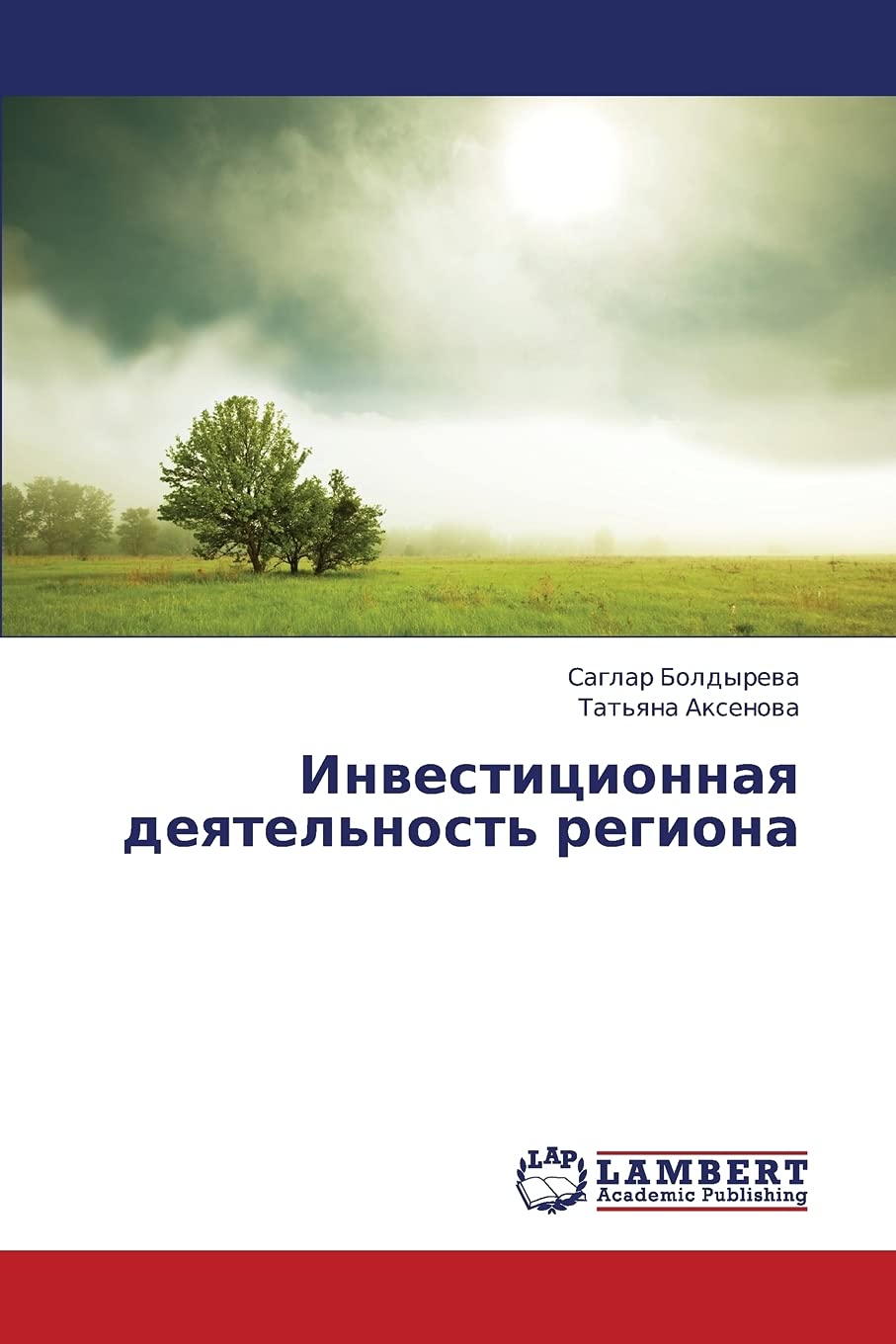 Investitsionnaya deyatel'nost' regiona (Russian Edition),Used