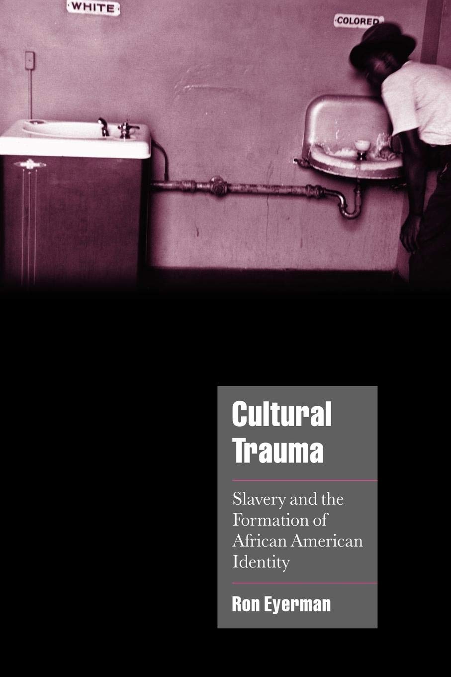 Cultural Trauma: Slavery And The Formation Of African American Identity (Cambridge Cultural Social Studies),New