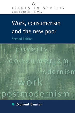 Work, Consumerism and the New Poor (Issues in Society),New