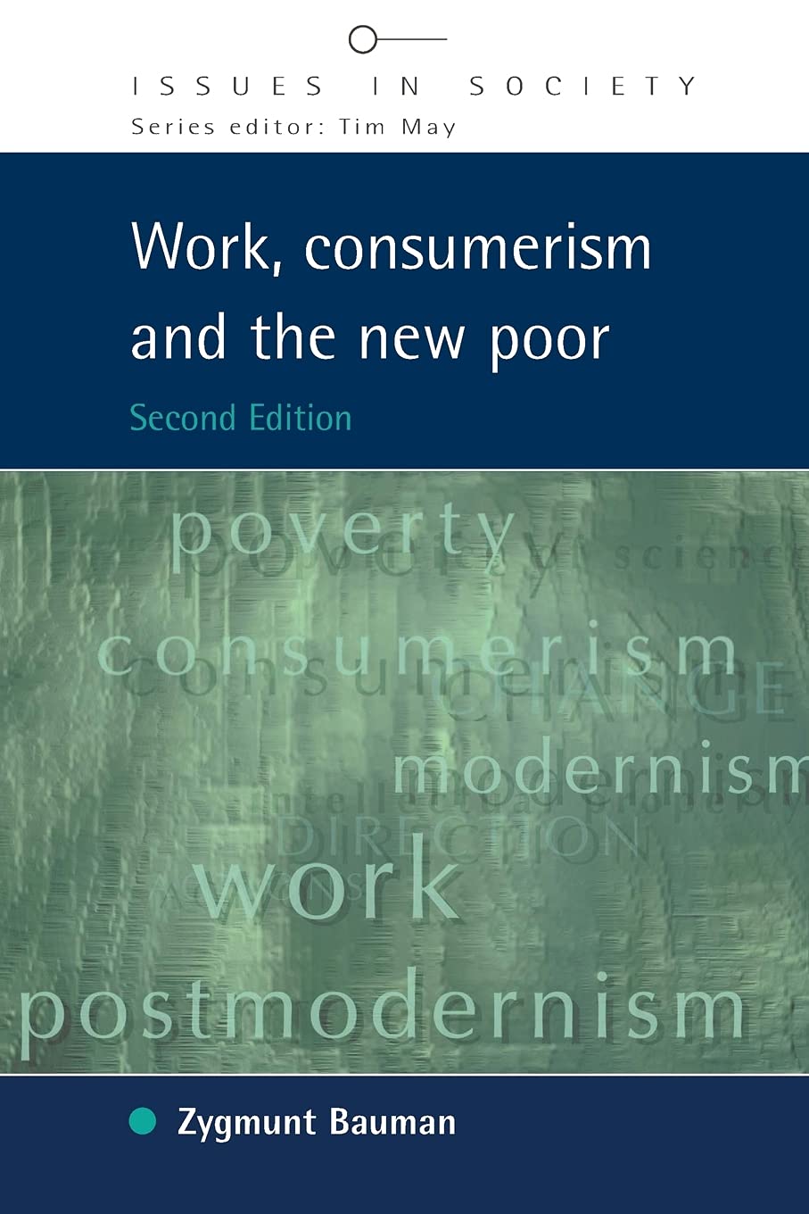 Work, Consumerism and the New Poor (Issues in Society),Used