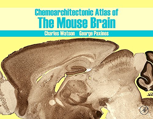 Chemoarchitectonic Atlas of the Mouse Brain,Used