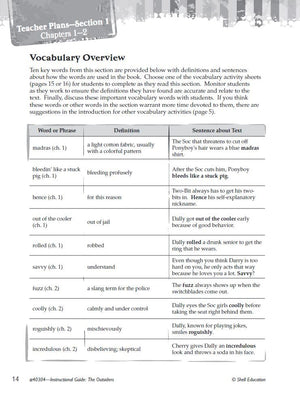 The Outsiders: An Instructional Guide for Literature  Novel Study Guide for 6th12th Grade Literature with Close Reading and Wr,Used