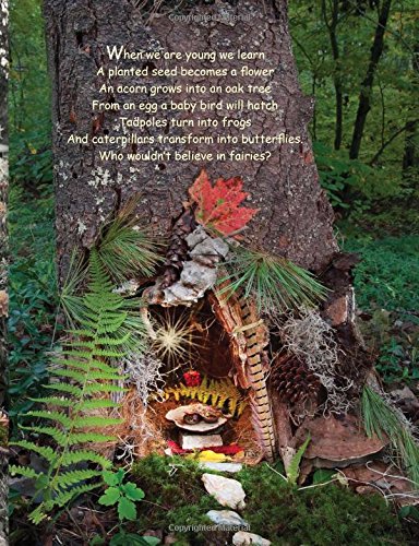 Fairy Houses . . . Unbelievable!: A Photographic Tour (The Fairy Houses Series),Used