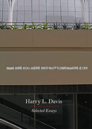Why Are You Here and Not Somewhere Else: Selected Essays,Used