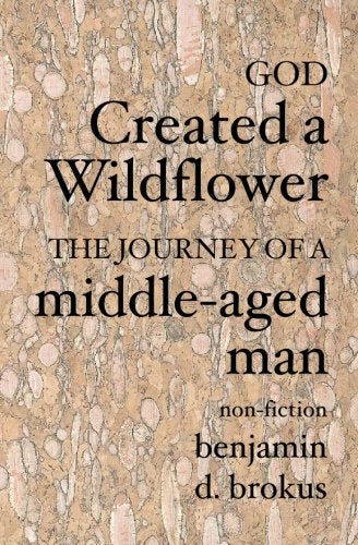 God Created a wildflower: the Journey of a MiddleAged Man,Used
