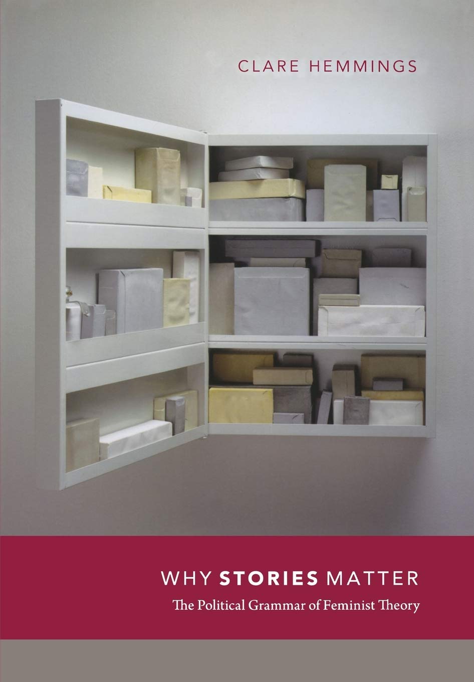 Why Stories Matter: The Political Grammar Of Feminist Theory (Next Wave: New Directions In Women'S Studies),Used