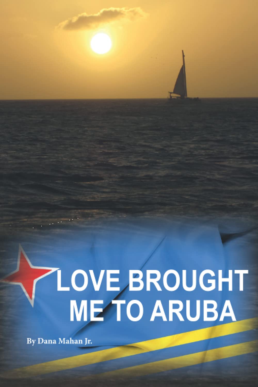 Love Brought Me To Aruba: From Long Island to One Happy Island,Used