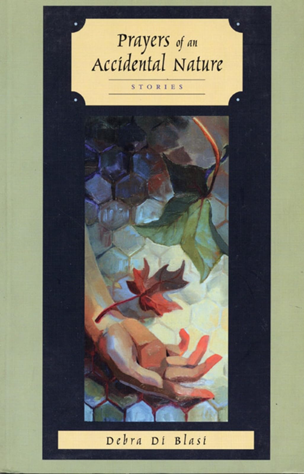 Prayers of an Accidental Nature,Used