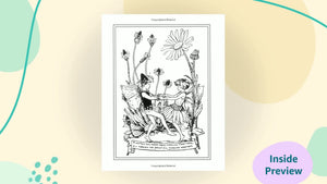 Flower Fairies of the Summer,Used