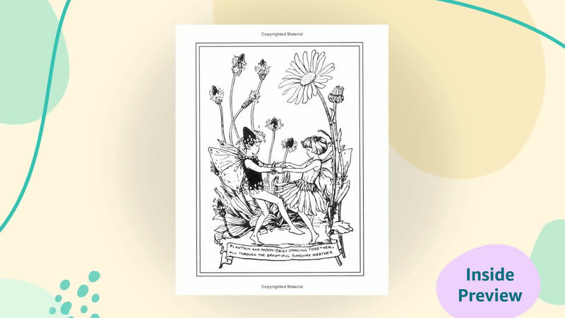 Flower Fairies Of The Summer
