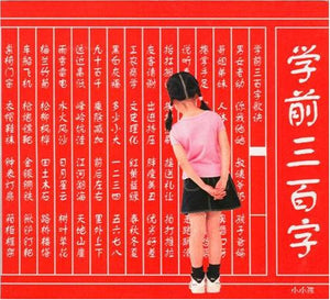 Learn The First 300 Chinese Characters,Used