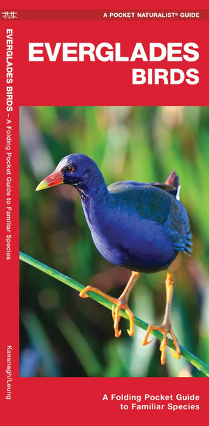 Everglades Birds: A Folding Pocket Guide to Familiar Species (Wildlife and Nature Identification),Used