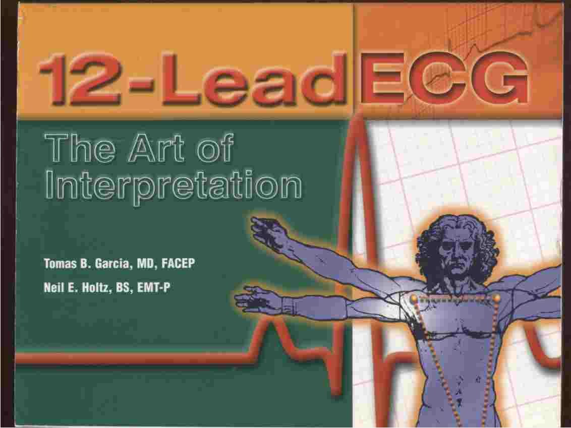 12Lead ECG: The Art of Interpretation,Used