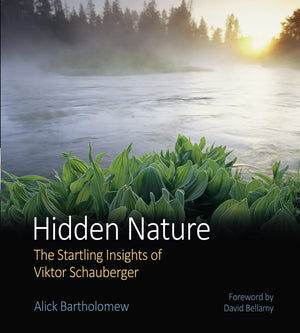 Hidden Nature: The Startling Insights Of Viktor Schauberger,Used