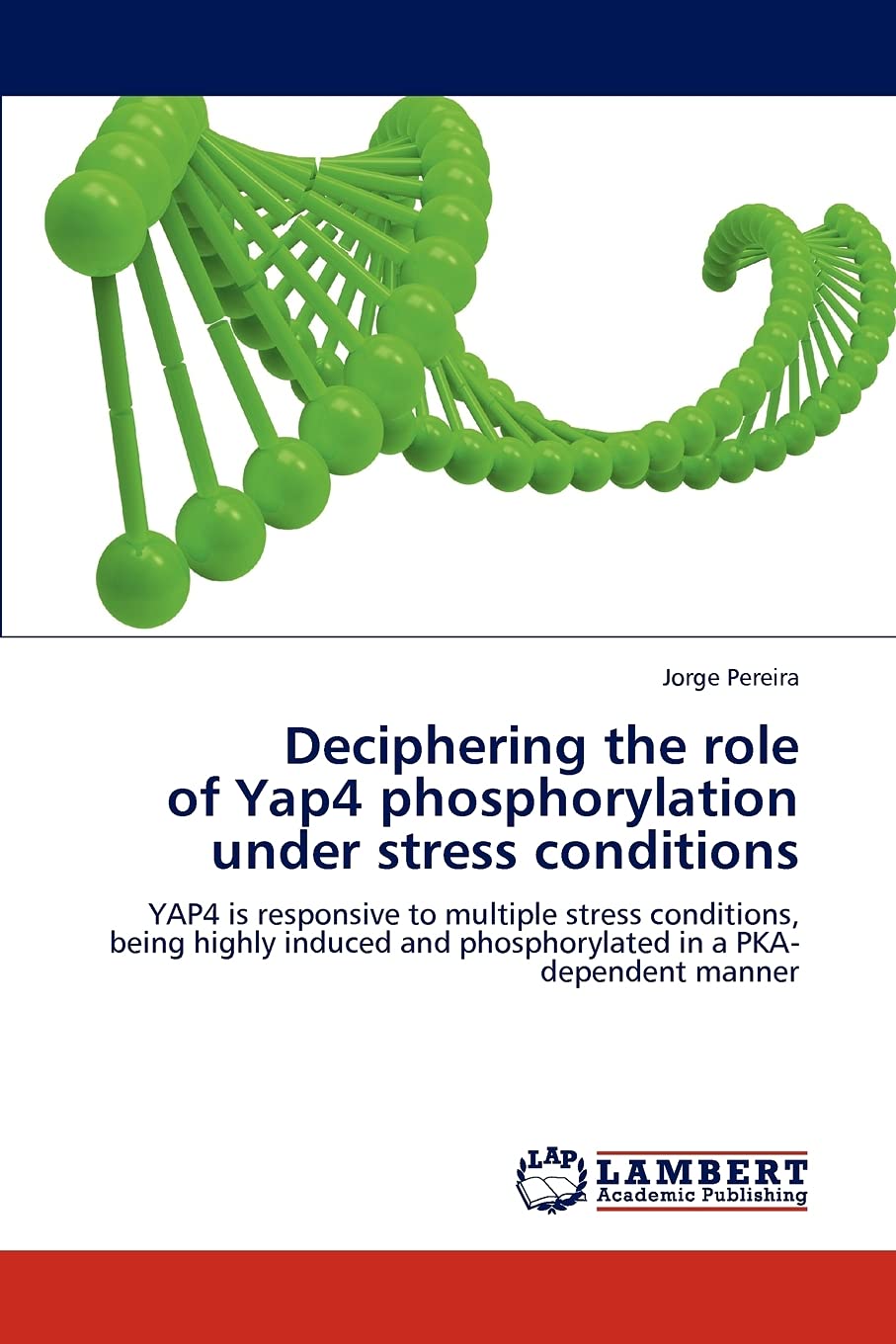 Deciphering the role of Yap4 phosphorylation under stress conditions: YAP4 is responsive to multiple stress conditions, being hi,Used