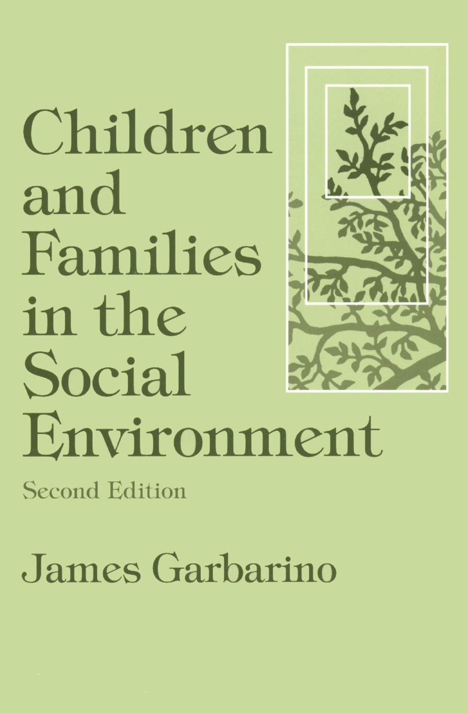 Children And Families In The Social Environment: Modern Applications Of Social Work,New