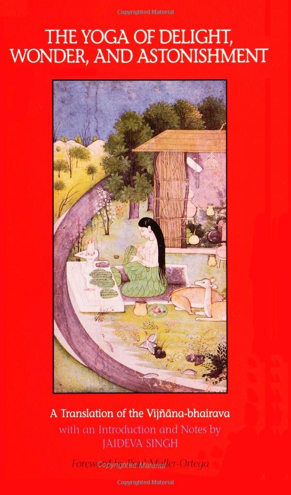 The Yoga of Delight, Wonder, and Astonishment: A Translation of the VijnanaBhairava (Suny Series in Tantric Studies),Used