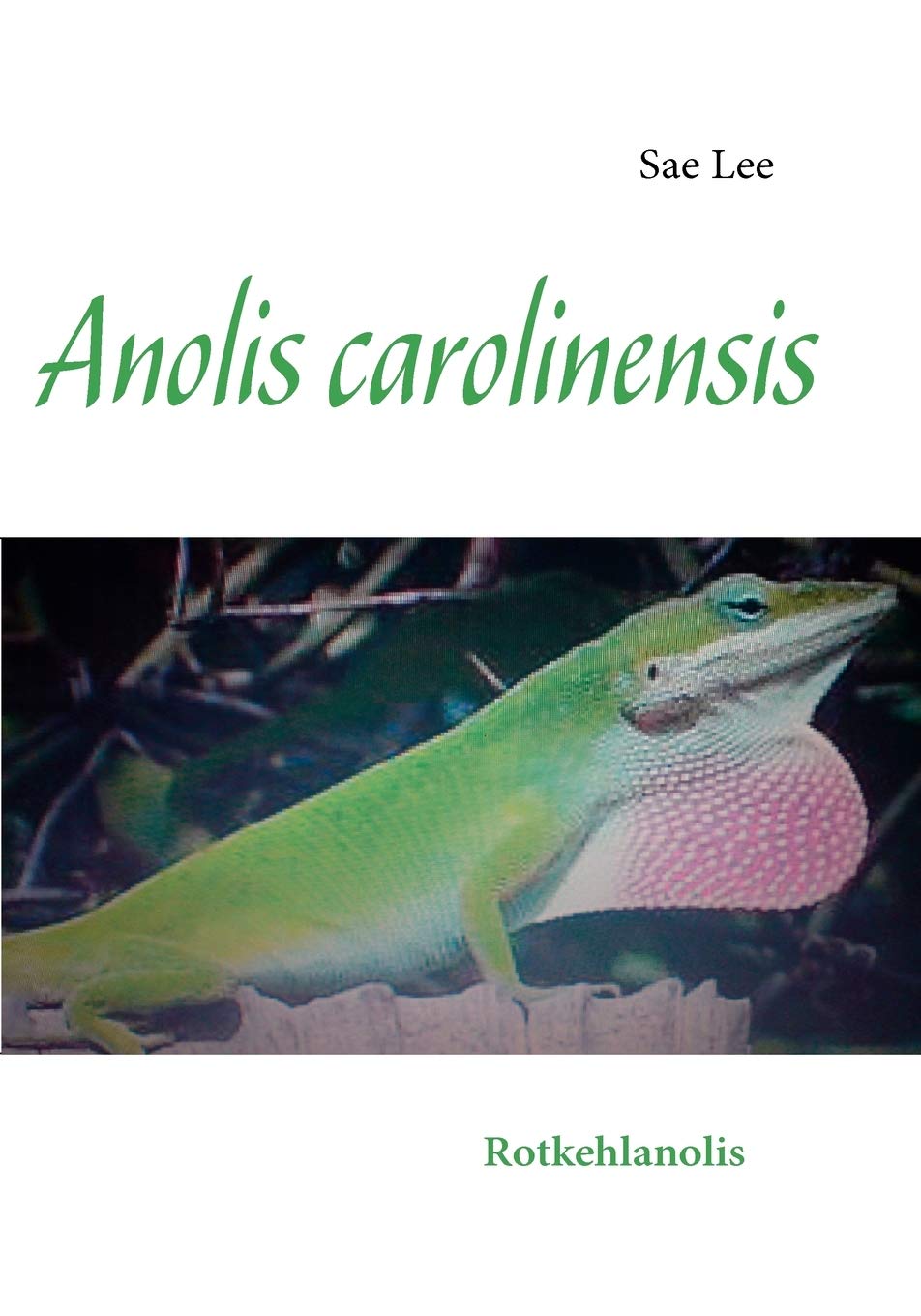 Anolis carolinensis: Rotkehlanolis (German Edition),Used