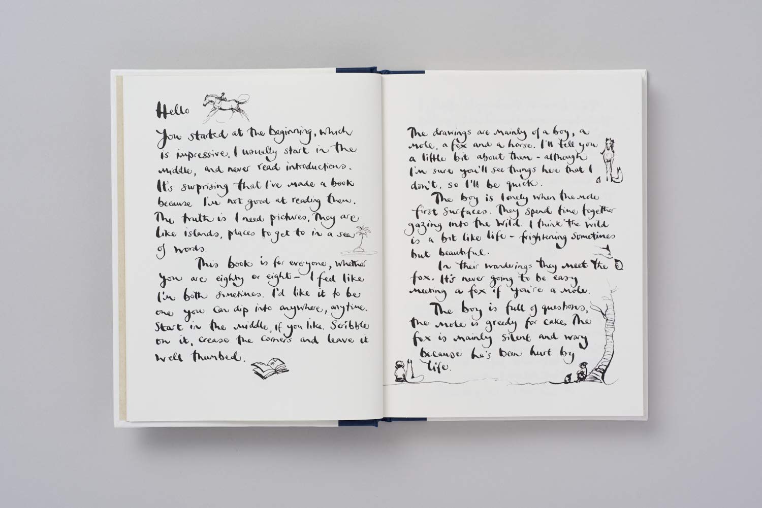 The Boy, The Mole, The Fox and The Horse /anglais,New