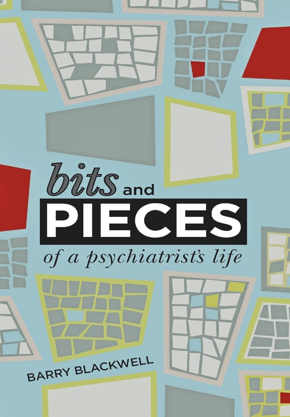 Bits And Pieces: A Shrunken Life,Used