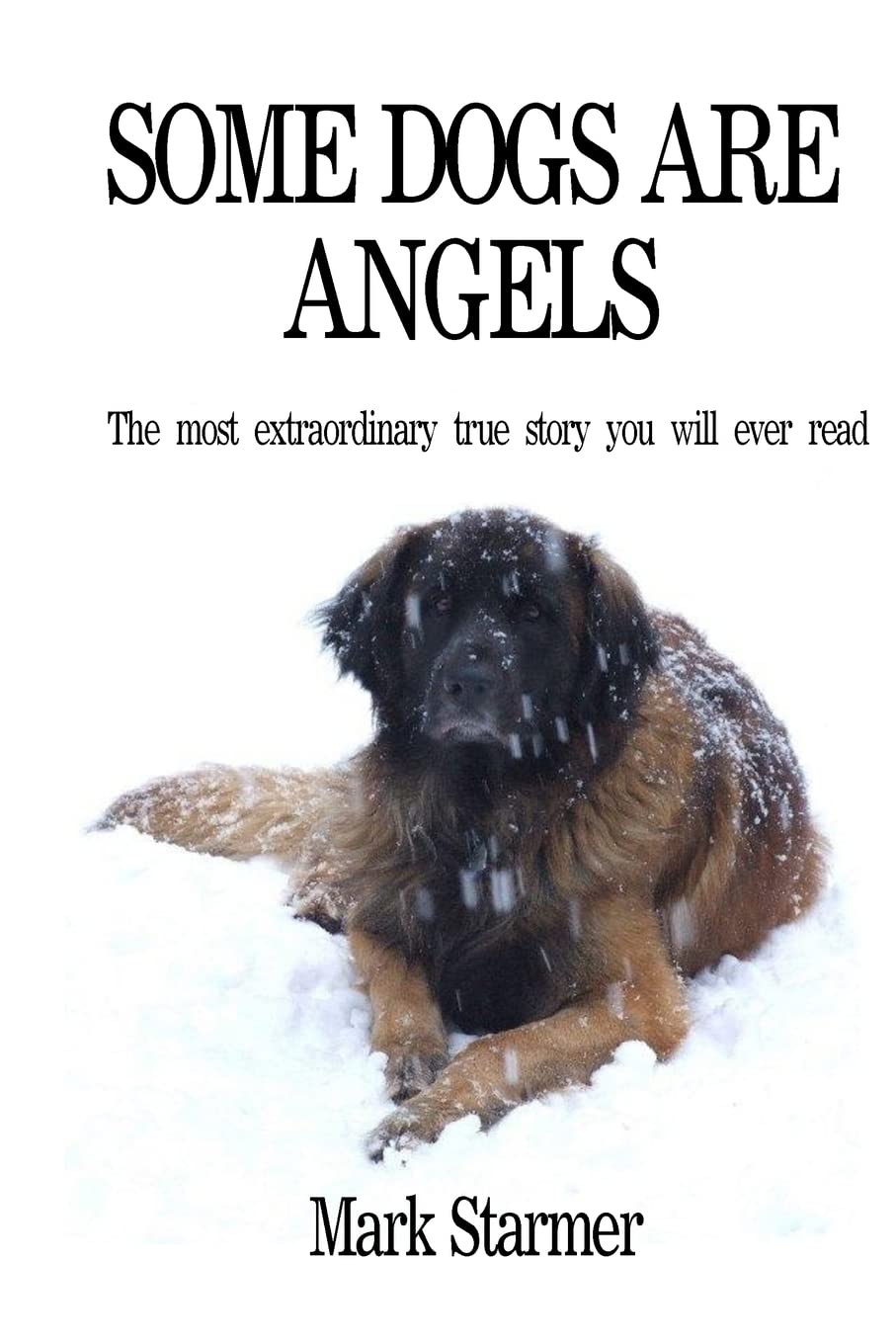 Some Dogs Are Angels: The most extraordinary true story you will ever read,Used