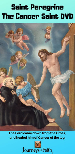 Saints and Other Powerful Men in the Church,Used