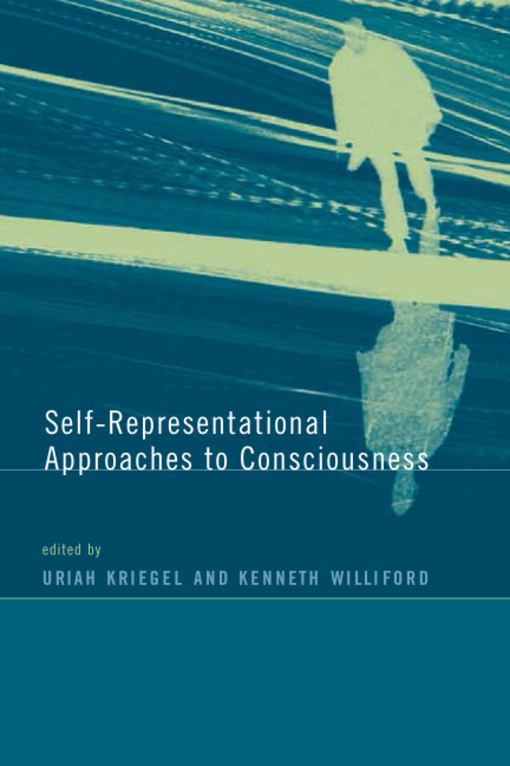 SelfRepresentational Approaches to Consciousness (A Bradford Book),Used