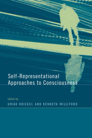 SelfRepresentational Approaches to Consciousness (A Bradford Book),Used