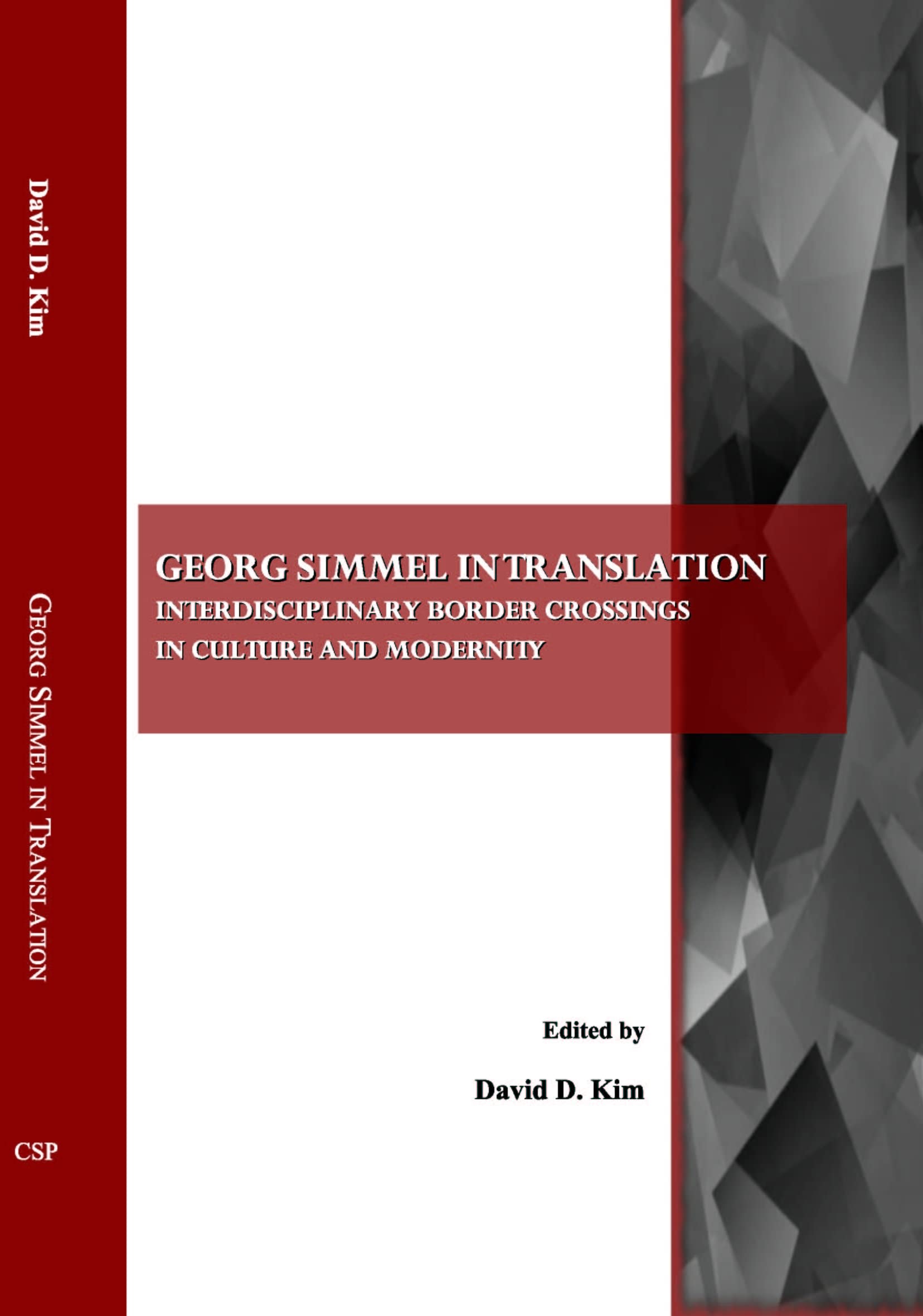 Georg Simmel In Translation: Interdisciplinary Border Crossings In Culture And Modernity,Used